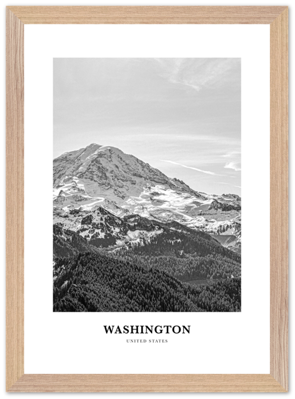 Washington (State) Portrait B&W No 2 Poster