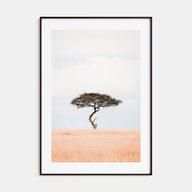 Acacia Tree Photo Color No 1 Poster