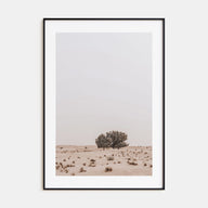 Acacia Tree Photo Color No 2 Poster