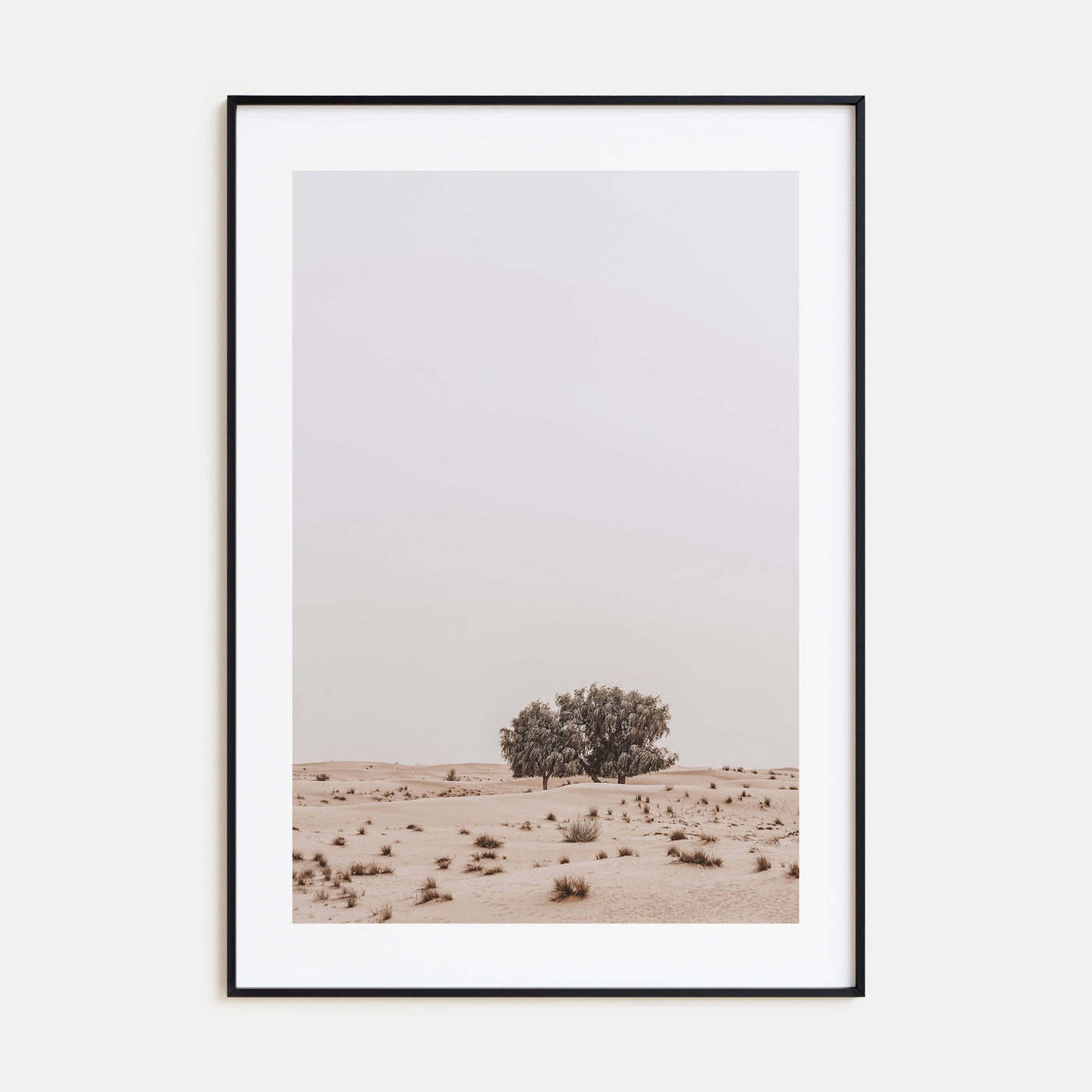 Acacia Tree Photo Color No 2 Poster