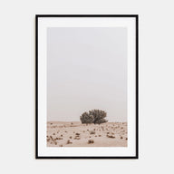 Acacia Tree Photo Color No 2 Poster