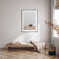 Acacia Tree Photo Color No 2 Poster