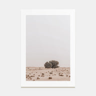 Acacia Tree Photo Color No 2 Poster