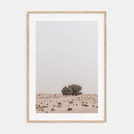 Acacia Tree Photo Color No 2 Poster