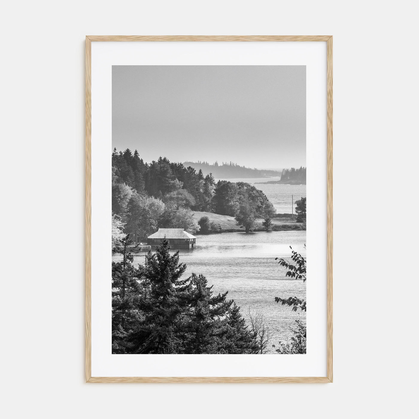 Acadia National Park Photo B&W Poster