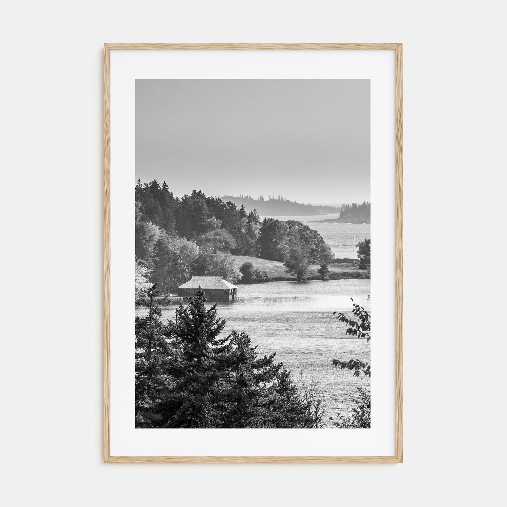 Acadia National Park Photo B&W Poster