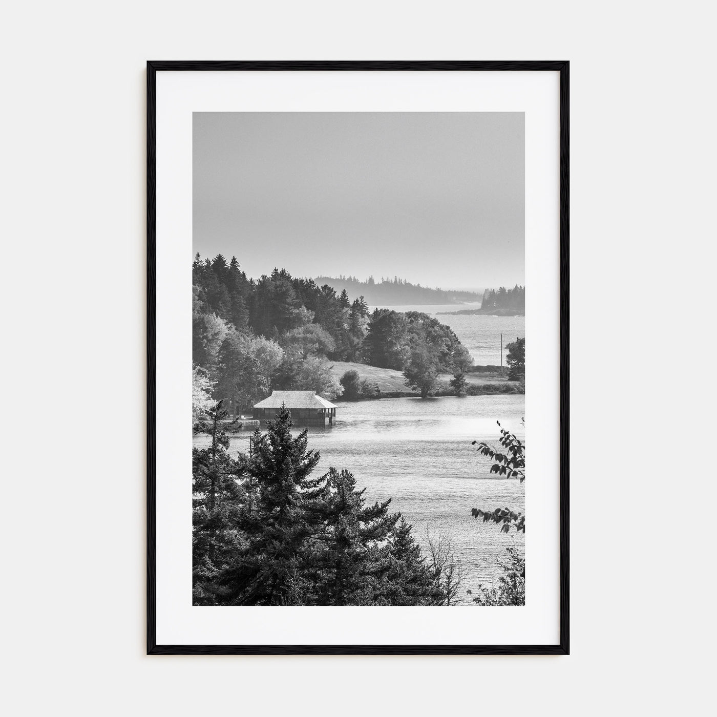 Acadia National Park Photo B&W Poster