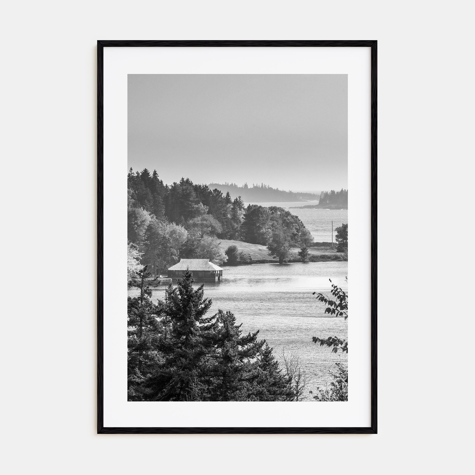 Acadia National Park Photo B&W Poster