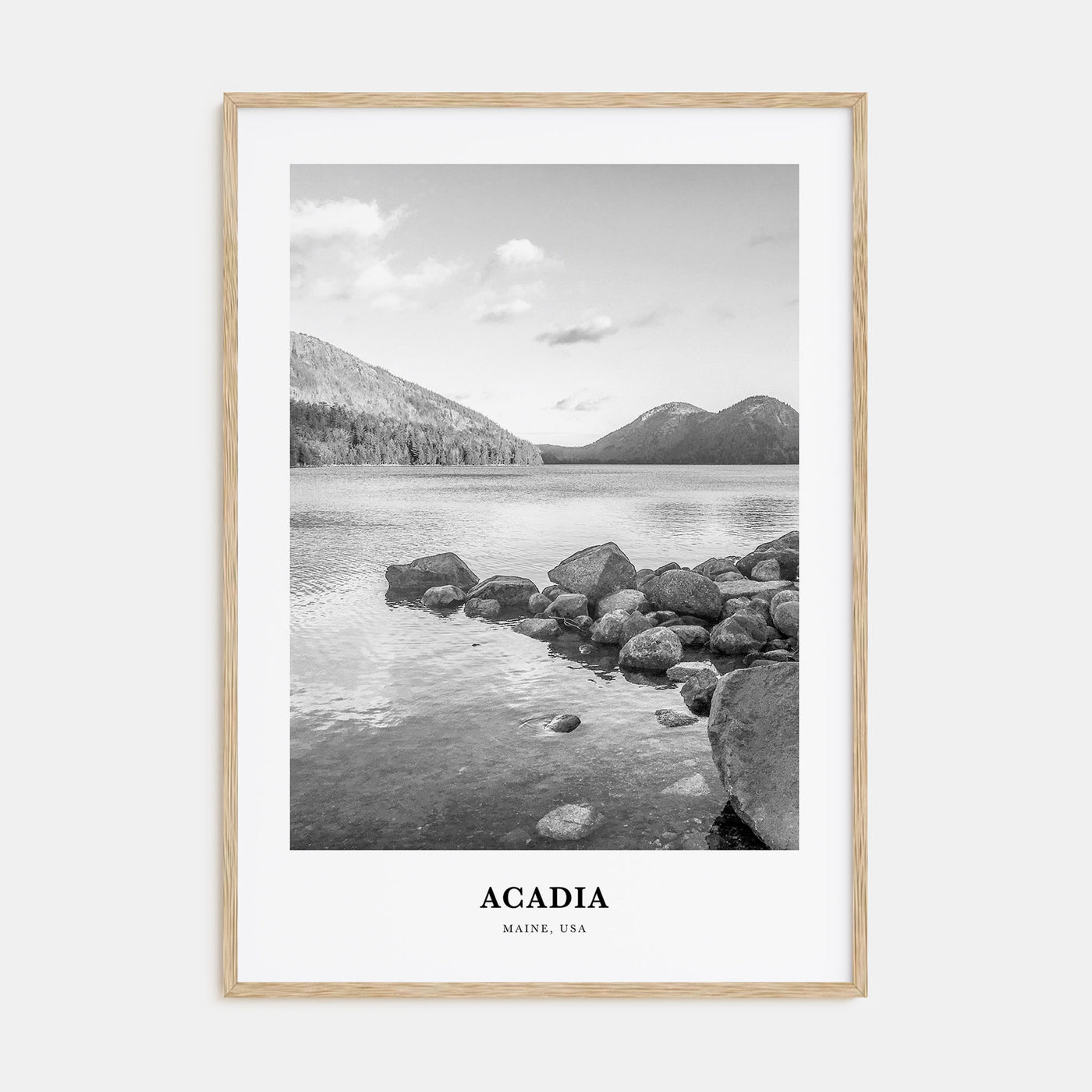 Acadia National Park Portrait B&W Poster