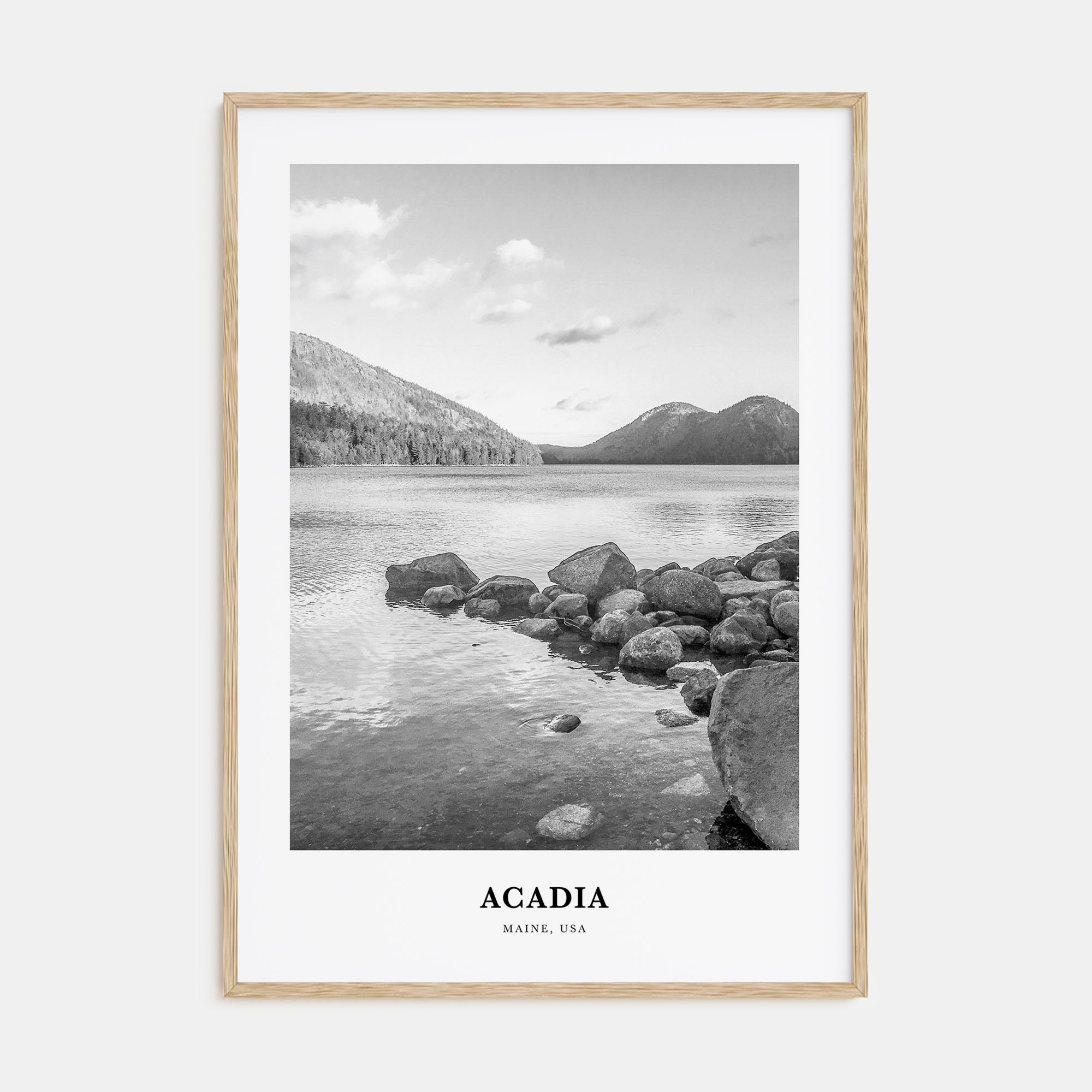 Acadia National Park Portrait B&W Poster