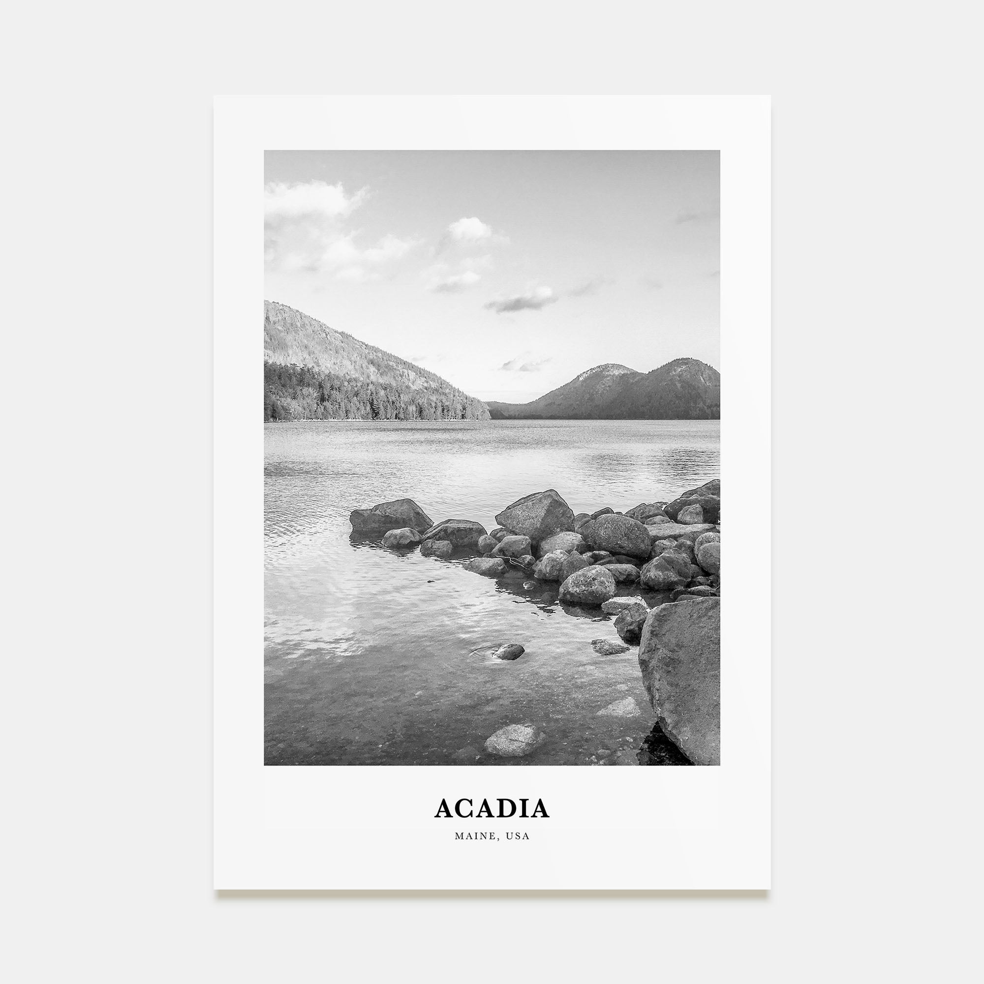 Acadia National Park Portrait B&W Poster