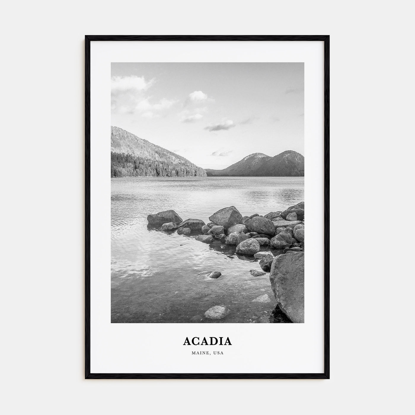 Acadia National Park Portrait B&W Poster