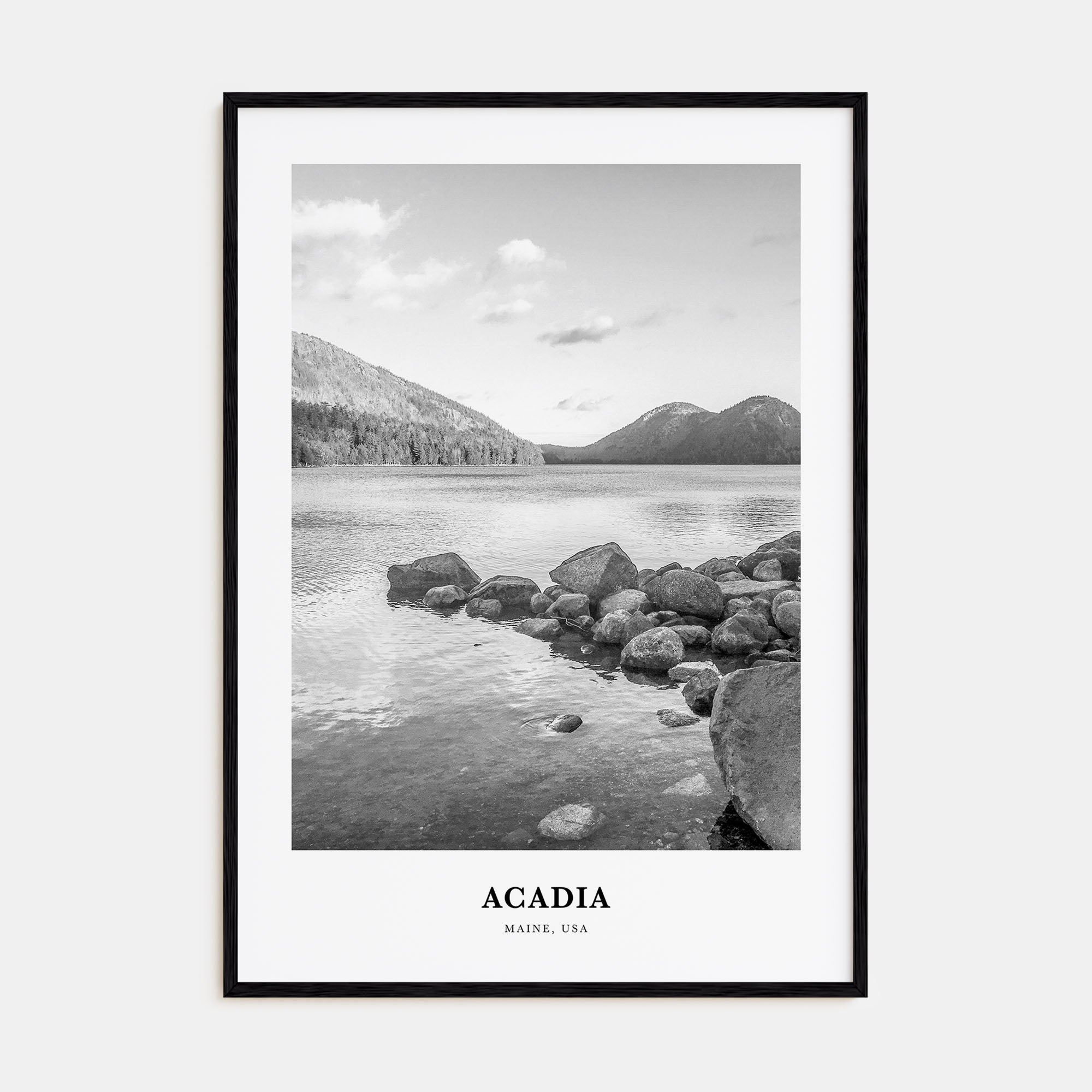 Acadia National Park Portrait B&W Poster
