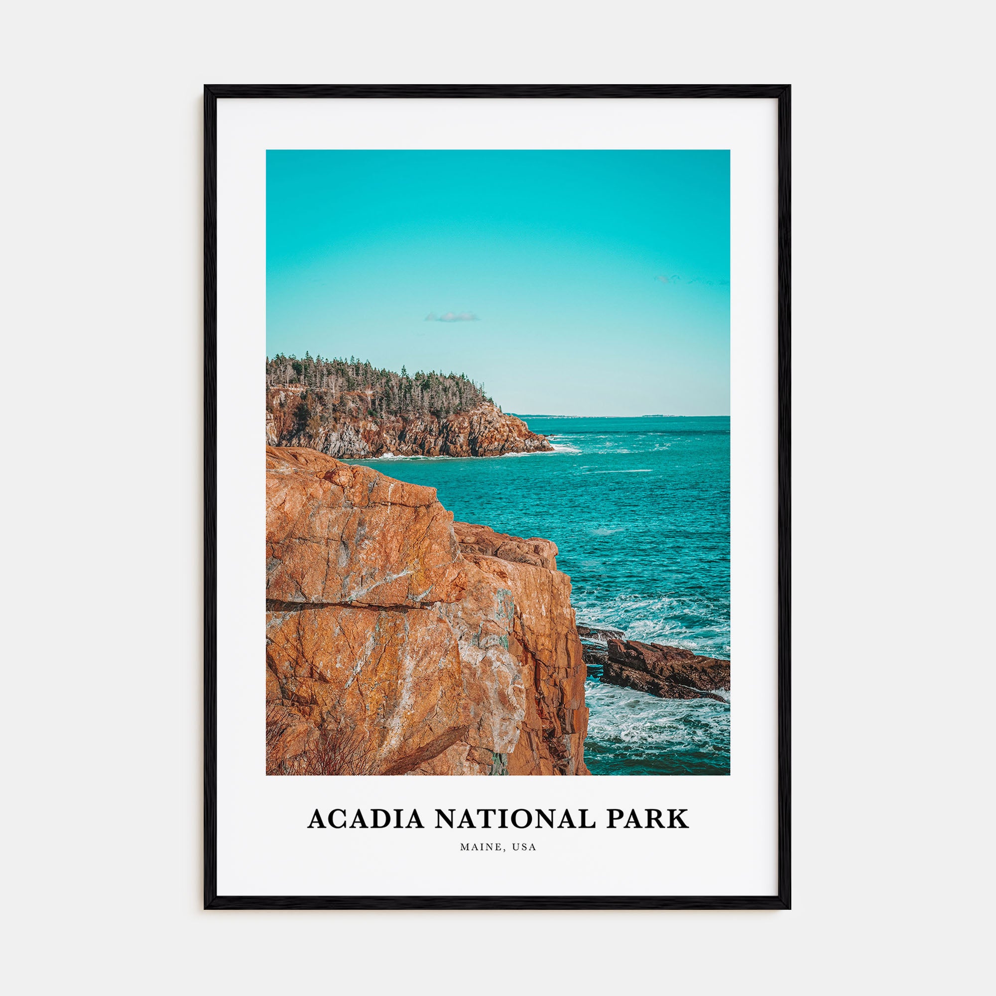 Acadia National Park Portrait Color Poster