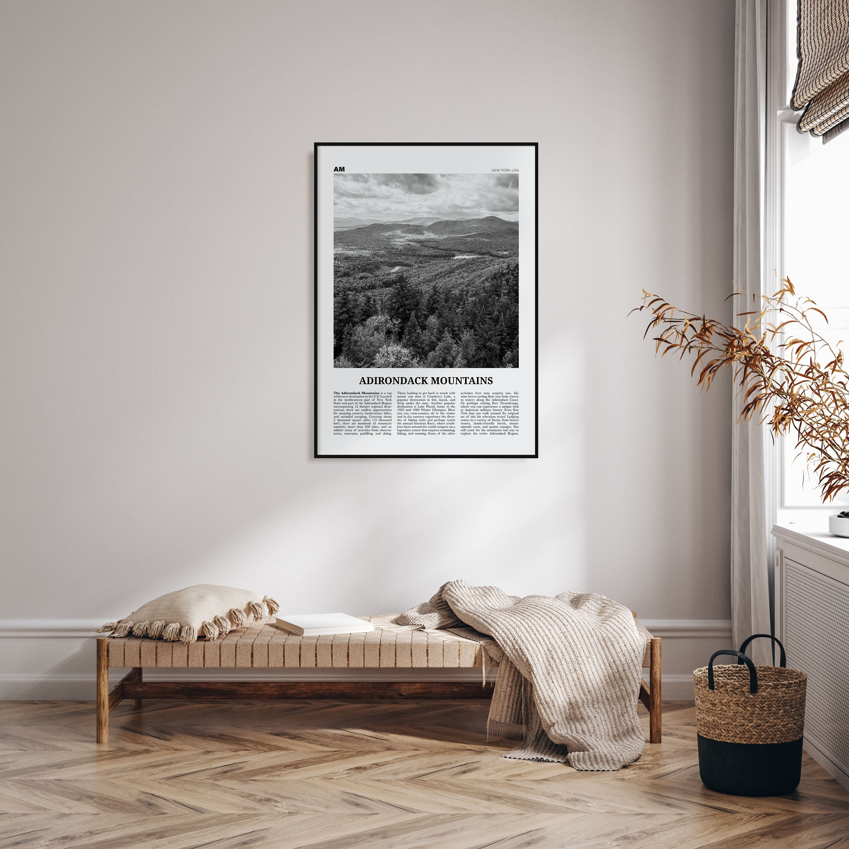 Adirondack Mountains Travel B&W Poster