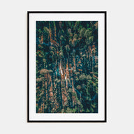 Aerial Forest Photo Color Poster