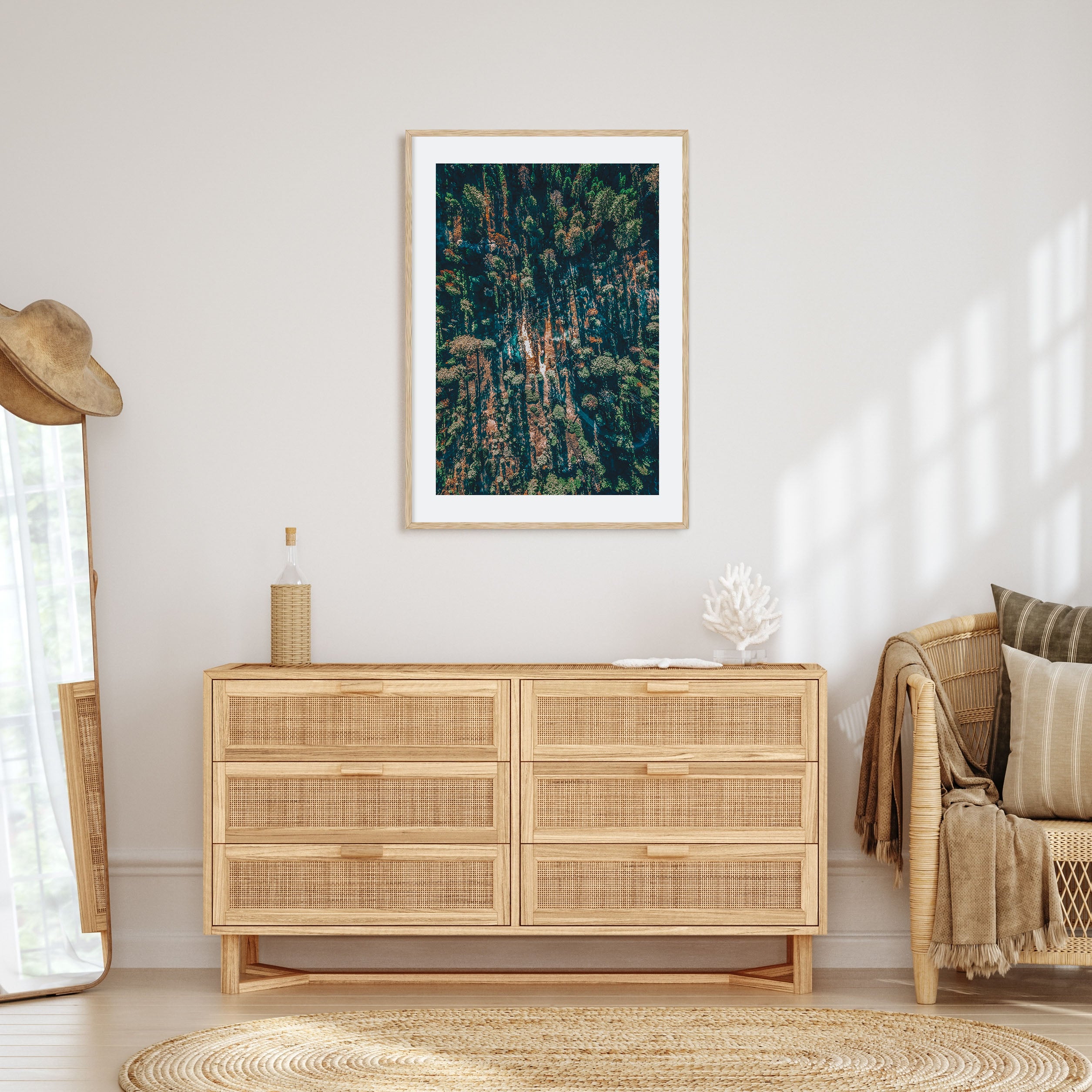 Aerial Forest Photo Color Poster