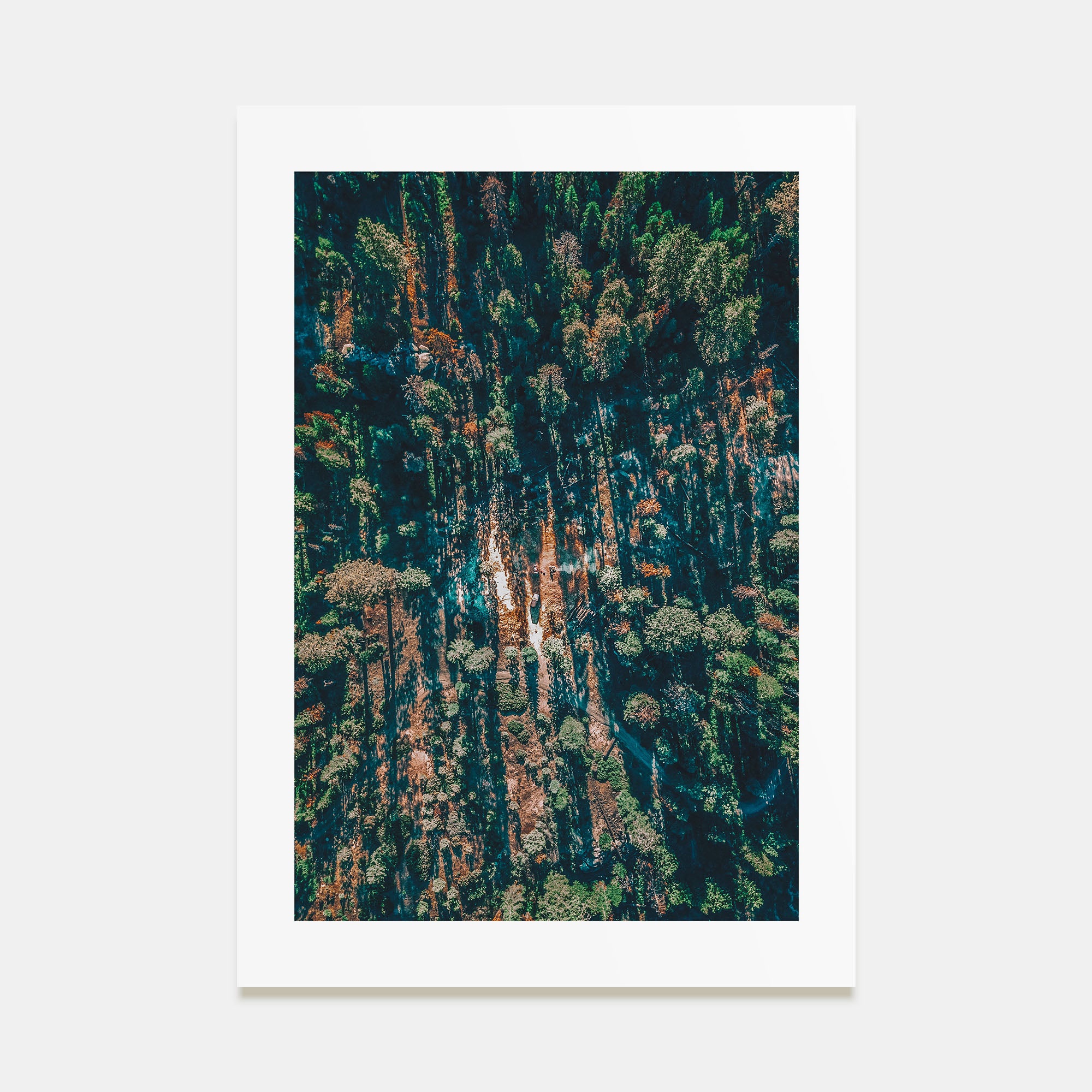 Aerial Forest Photo Color Poster