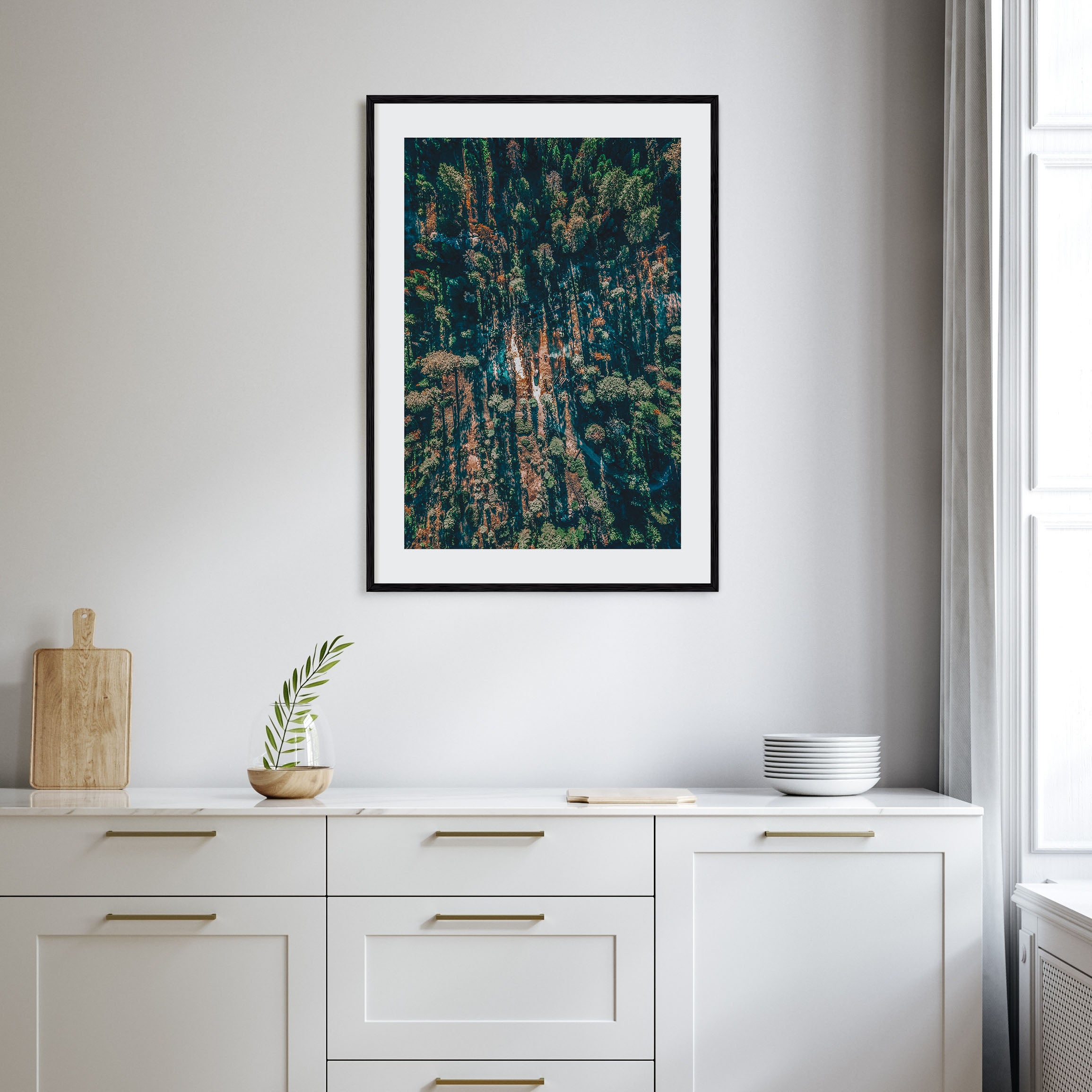 Aerial Forest Photo Color Poster
