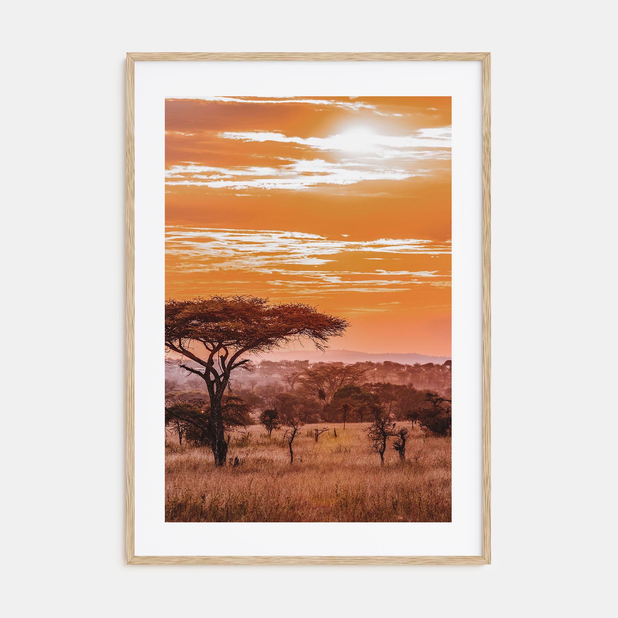 Africa Photo Color Poster