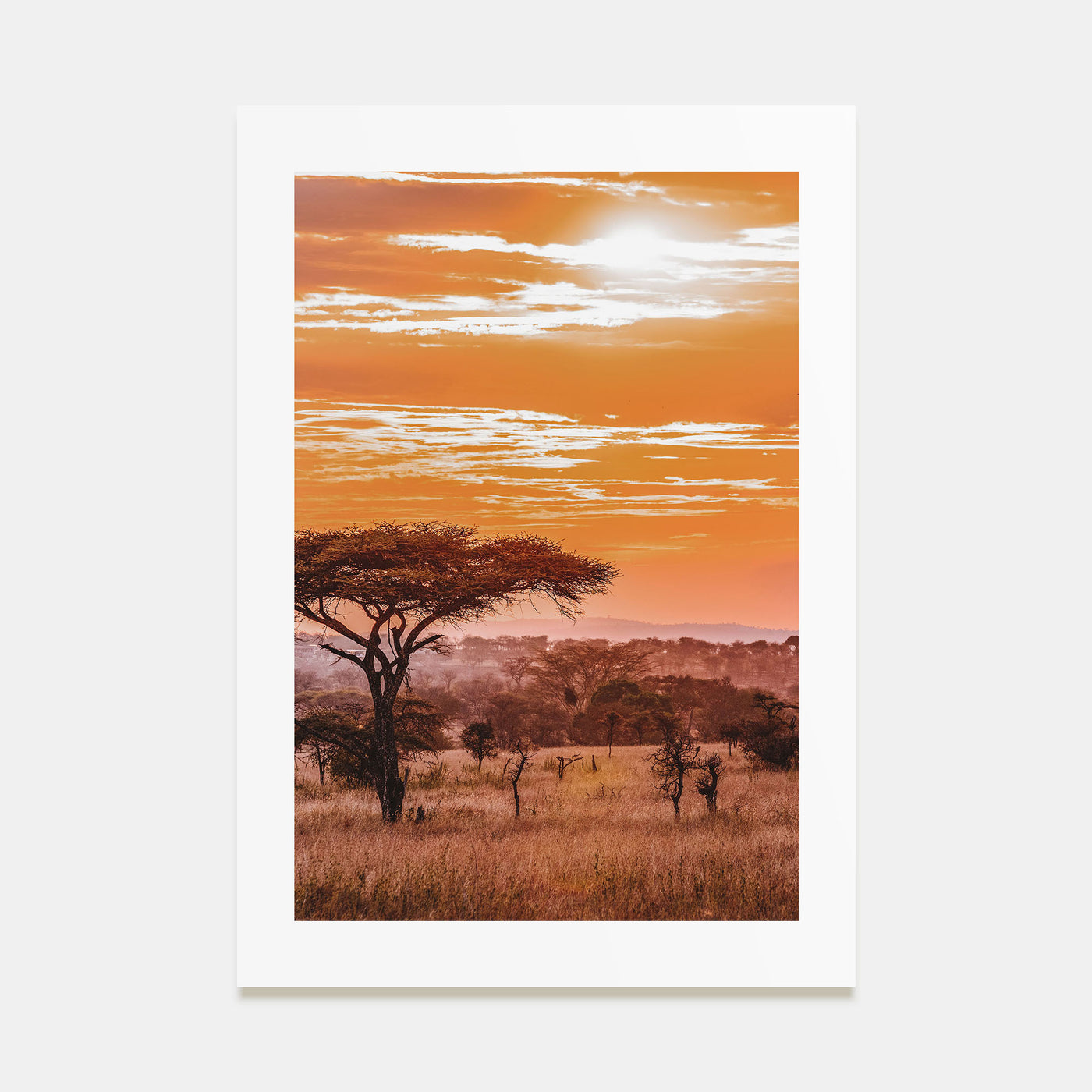 Africa Photo Color Poster
