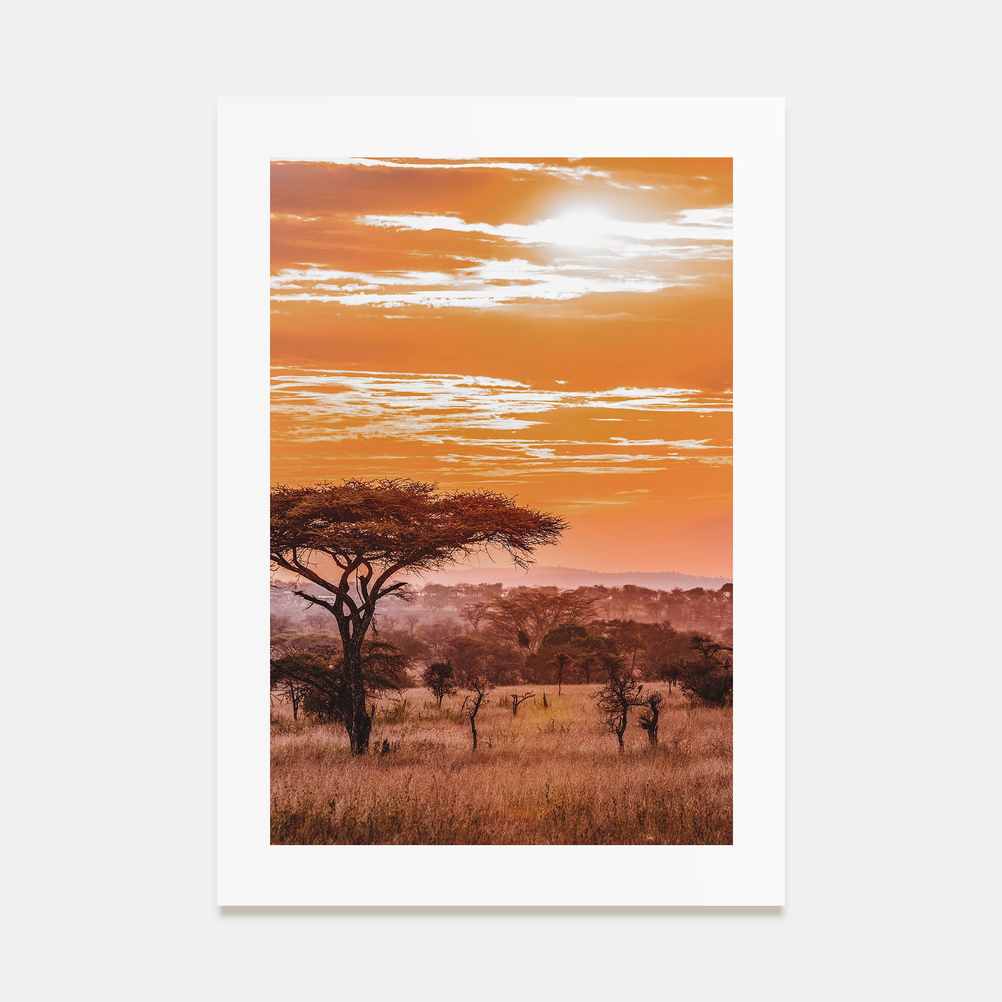 Africa Photo Color Poster