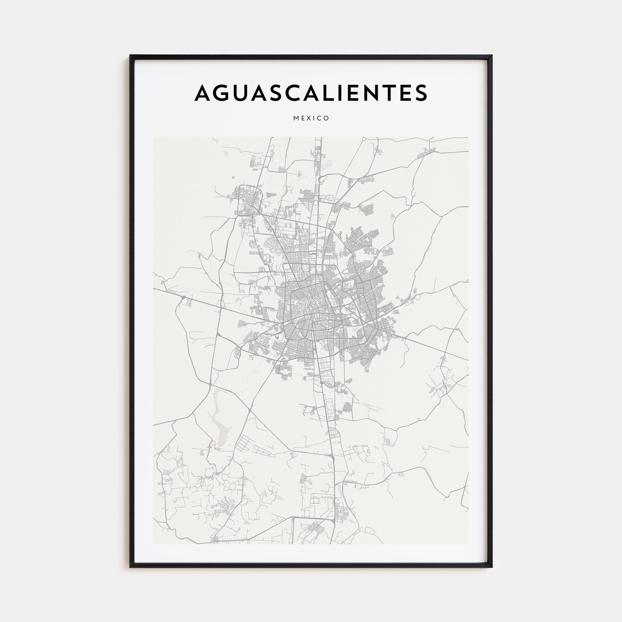 Aguascalientes Map Portrait Poster