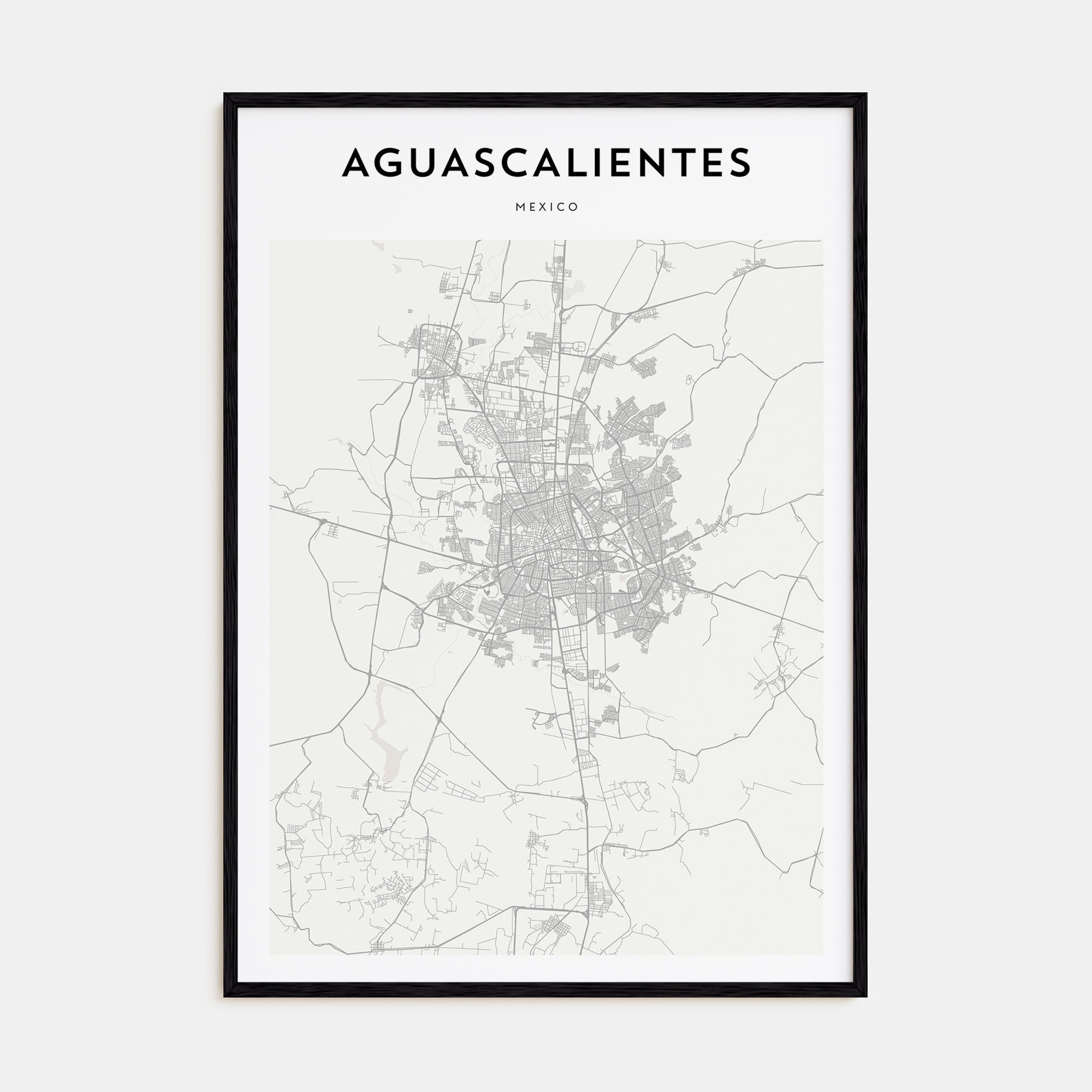 Aguascalientes Map Portrait Poster