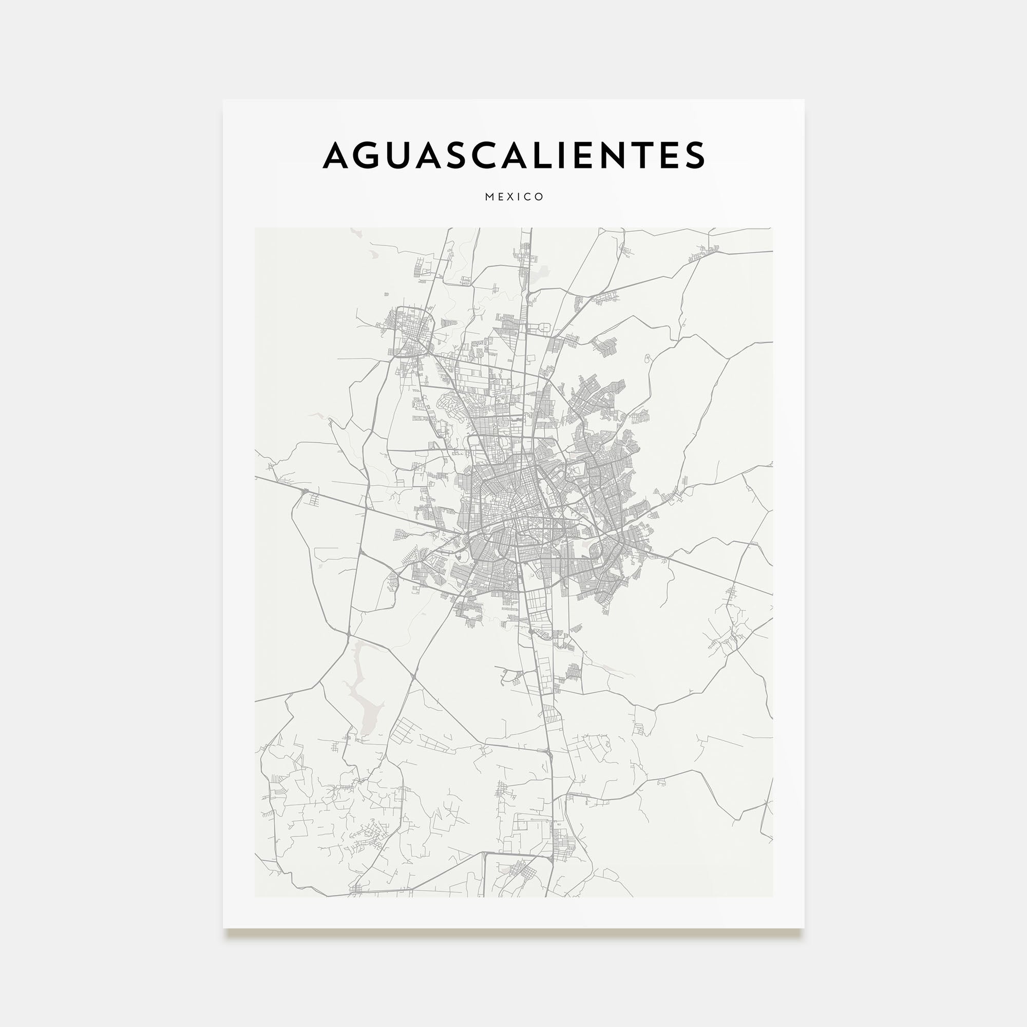 Aguascalientes Map Portrait Poster
