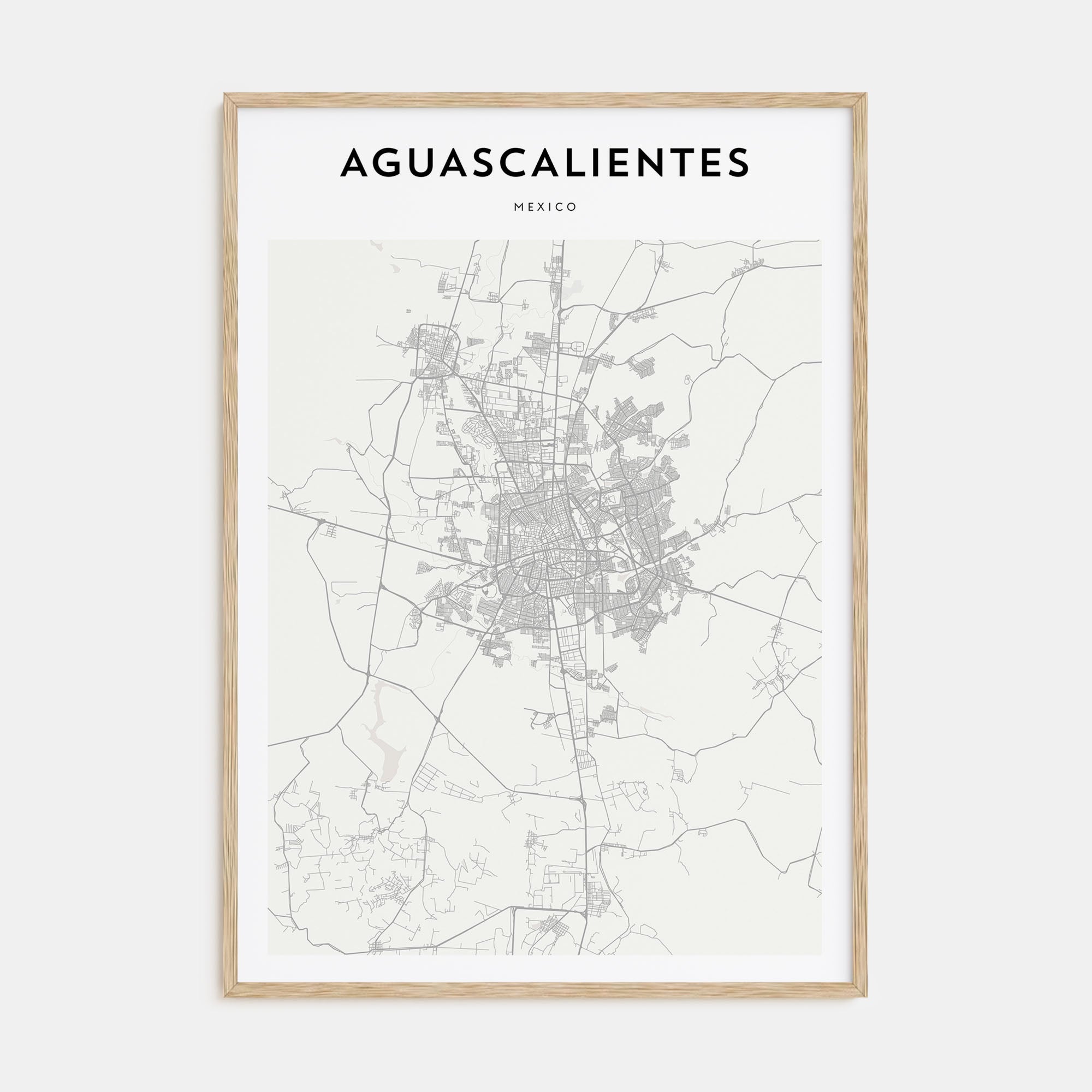 Aguascalientes Map Portrait Poster