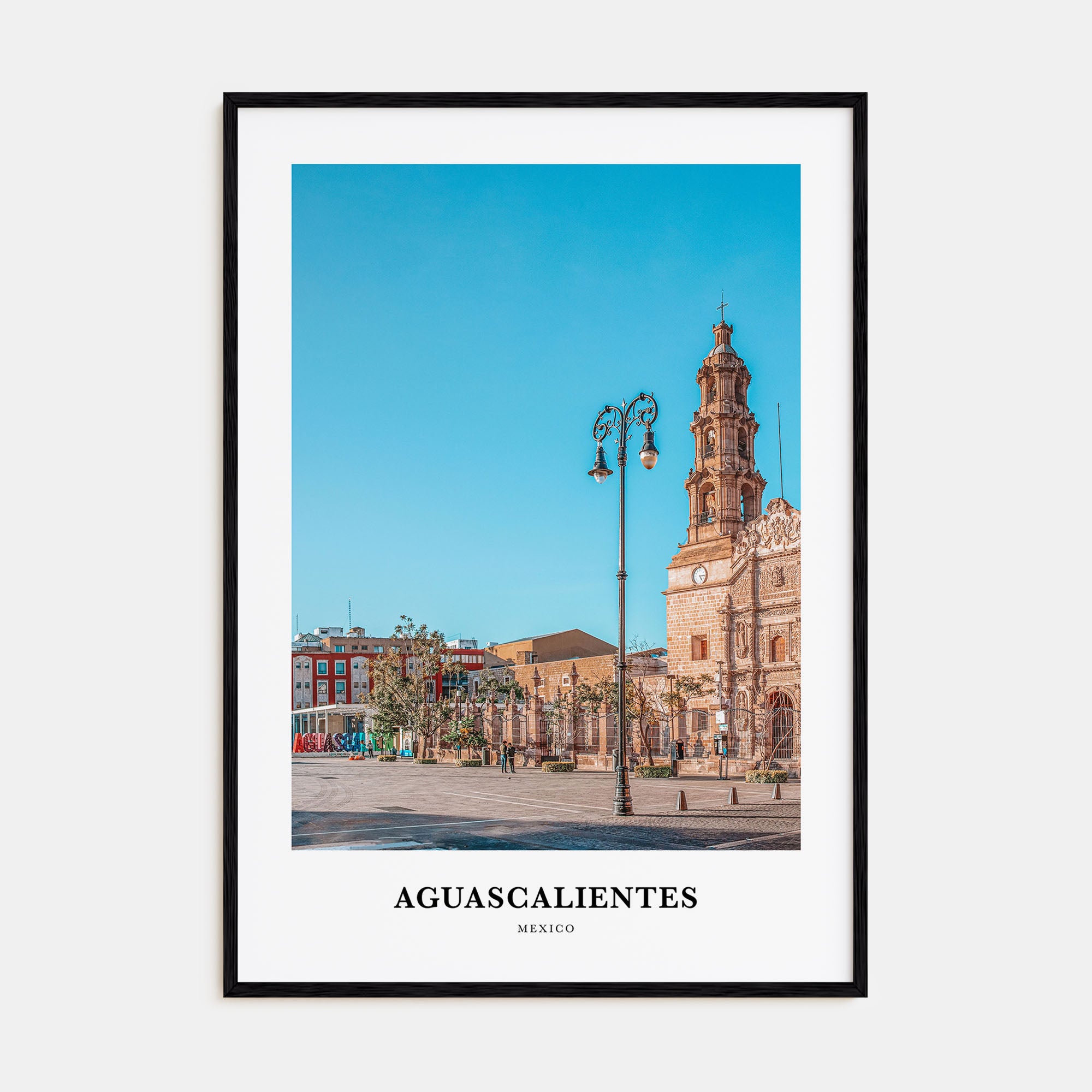 Aguascalientes Portrait Color Poster