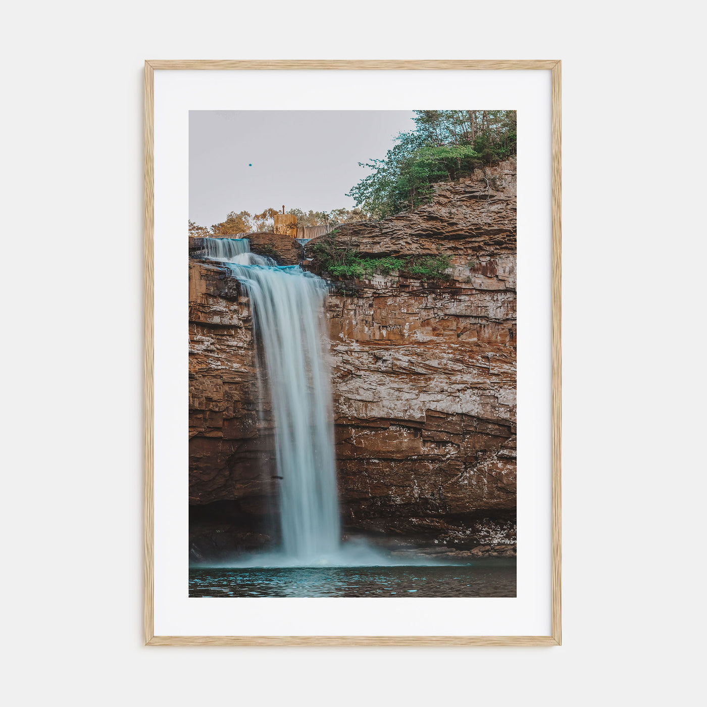 Alabama Photo Color Poster