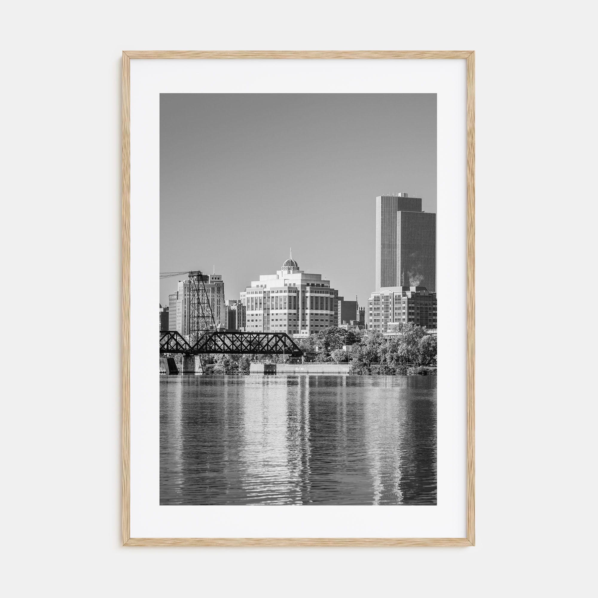 Albany, New York Photo B&W Poster