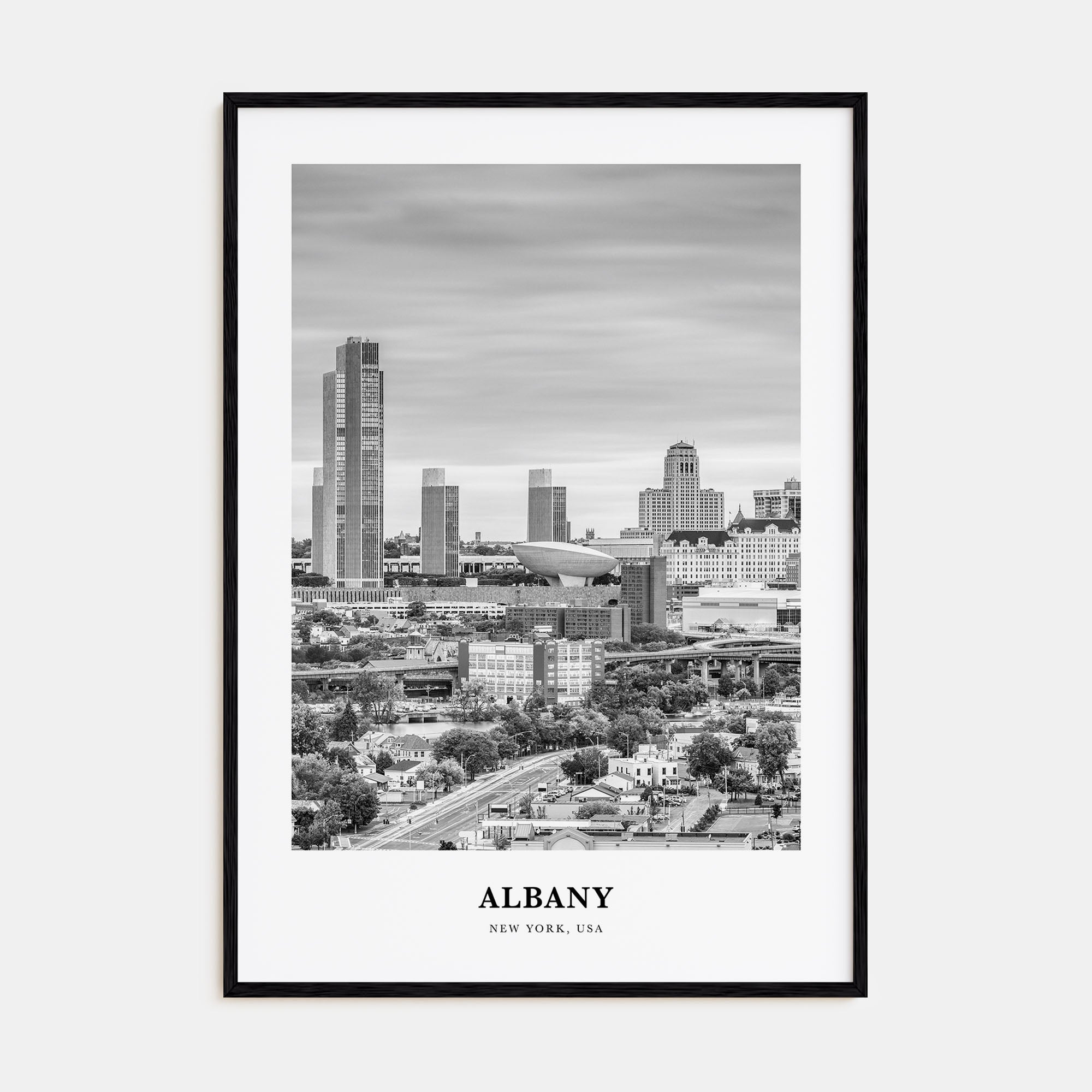 Albany, New York Portrait B&W Poster