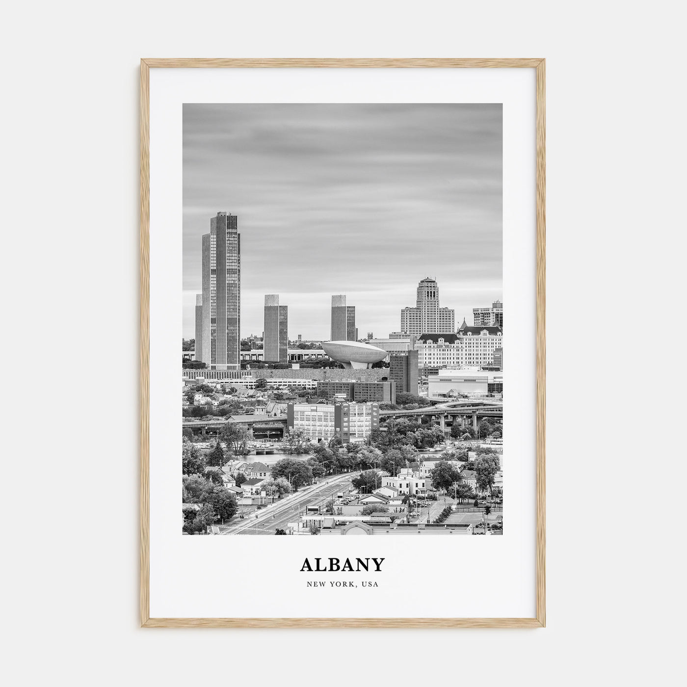 Albany, New York Portrait B&W Poster