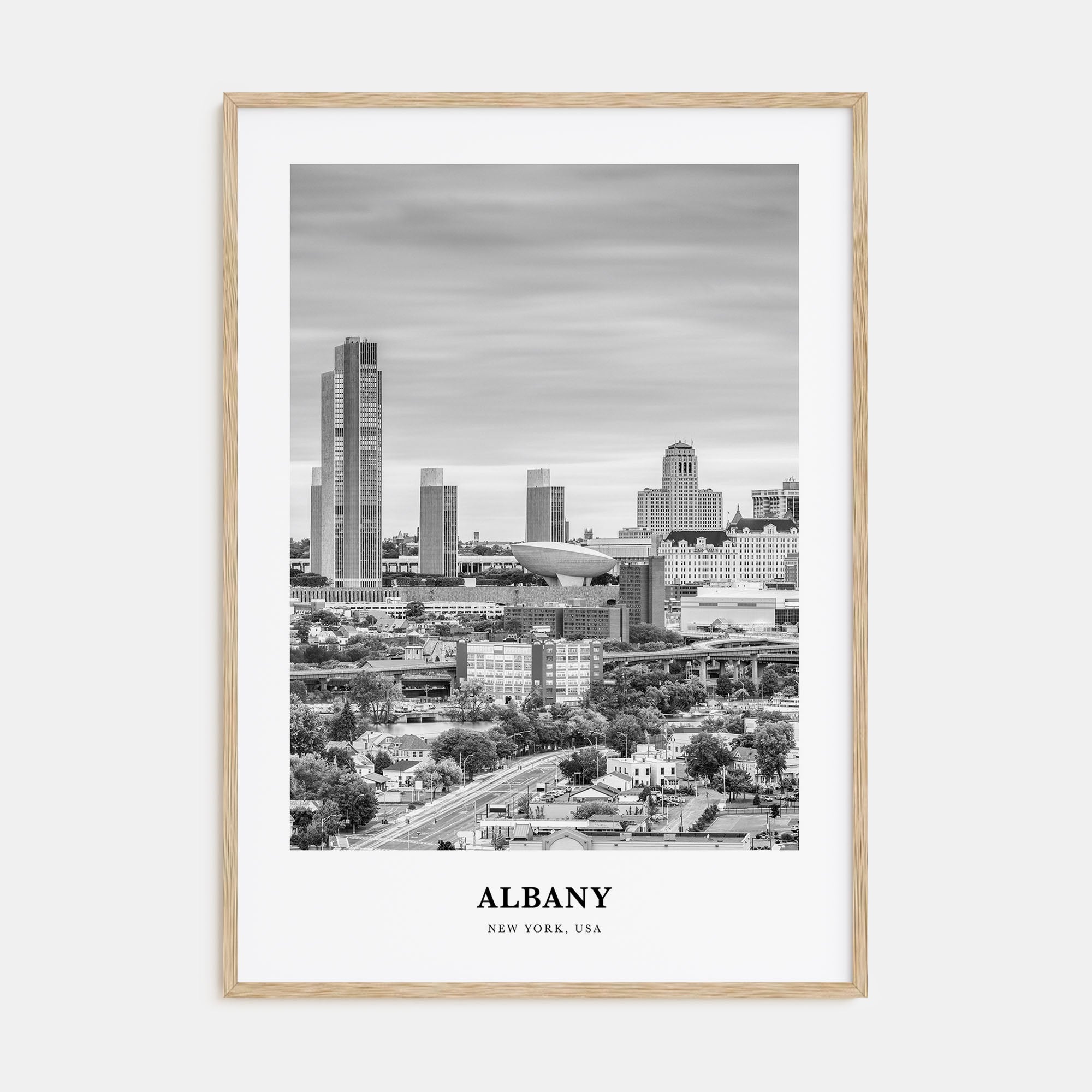 Albany, New York Portrait B&W Poster