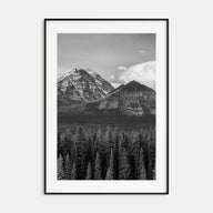 Alberta Photo B&W Poster