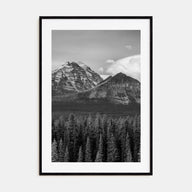 Alberta Photo B&W Poster