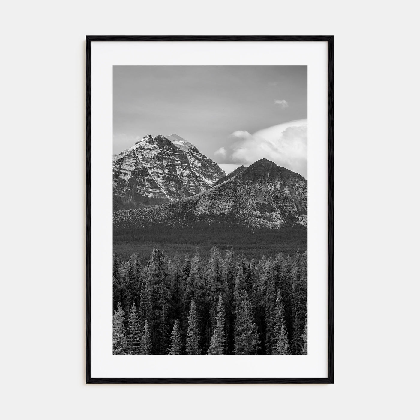 Alberta Photo B&W Poster
