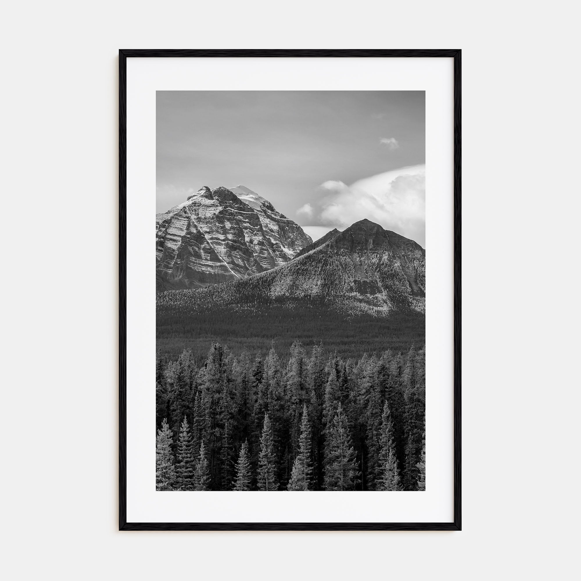 Alberta Photo B&W Poster
