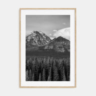 Alberta Photo B&W Poster
