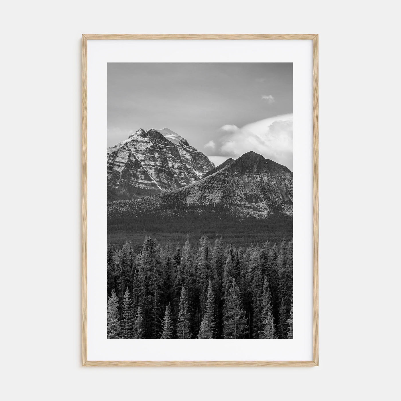 Alberta Photo B&W Poster