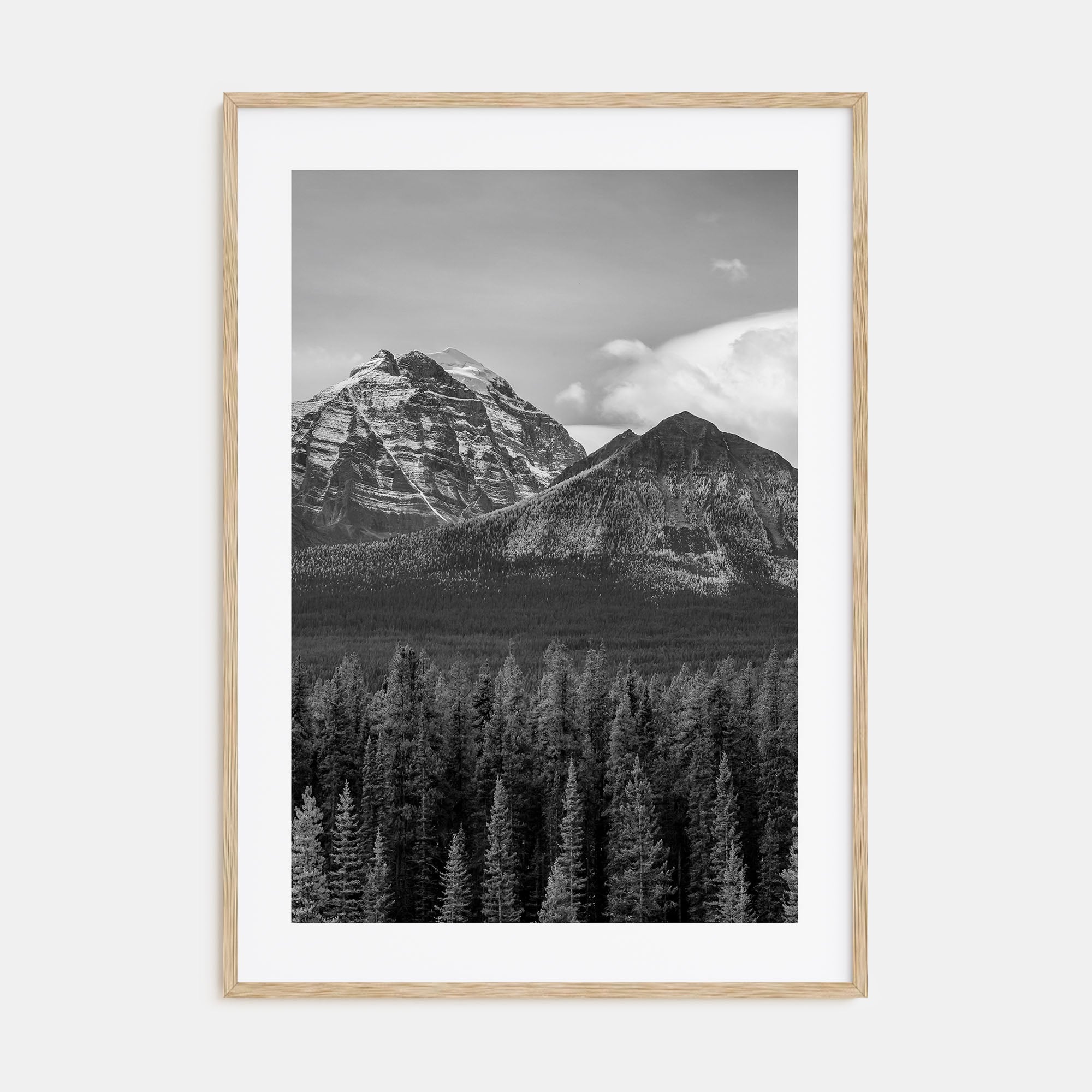 Alberta Photo B&W Poster