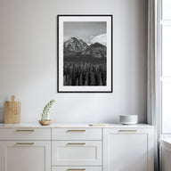 Alberta Photo B&W Poster