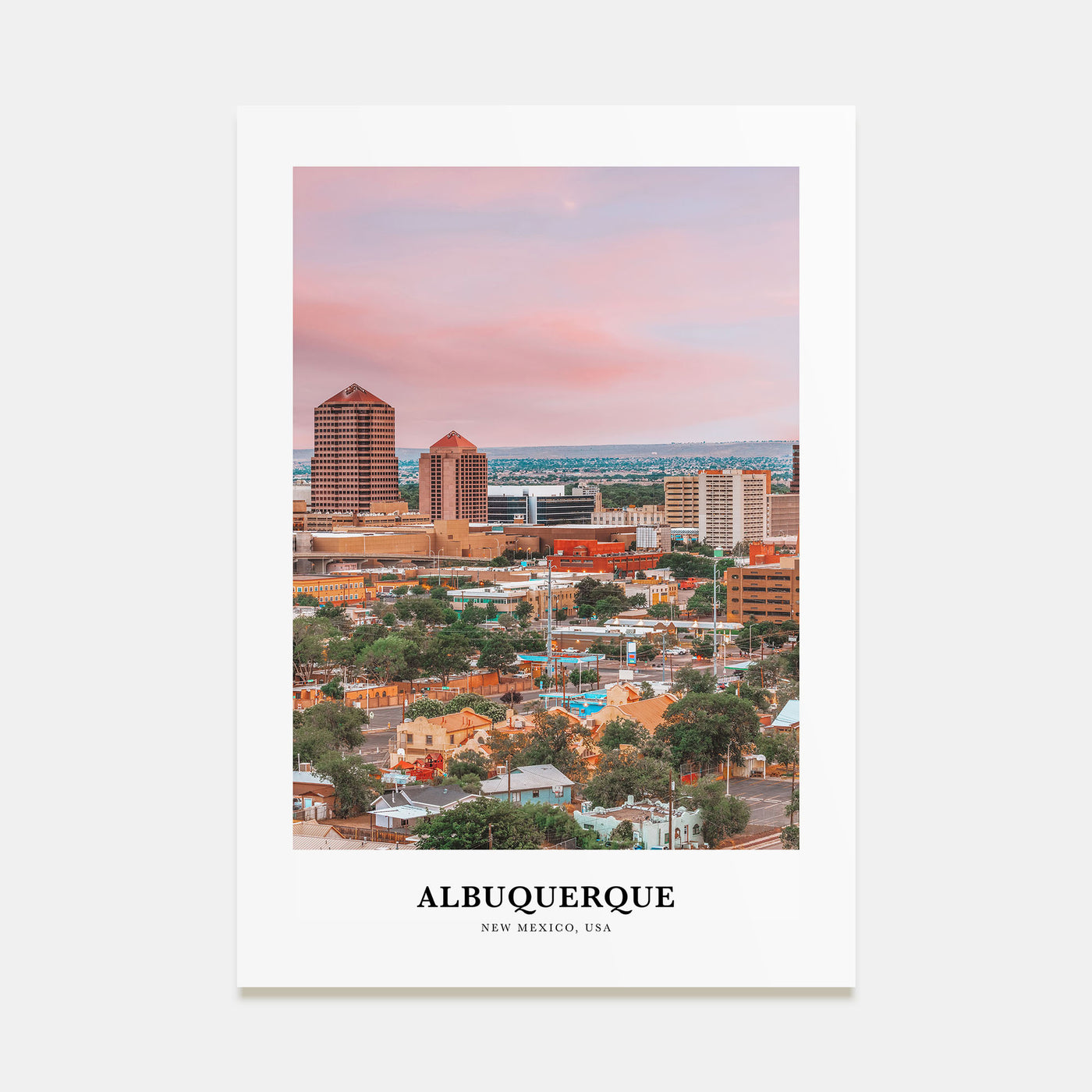Albuquerque Portrait Color Poster