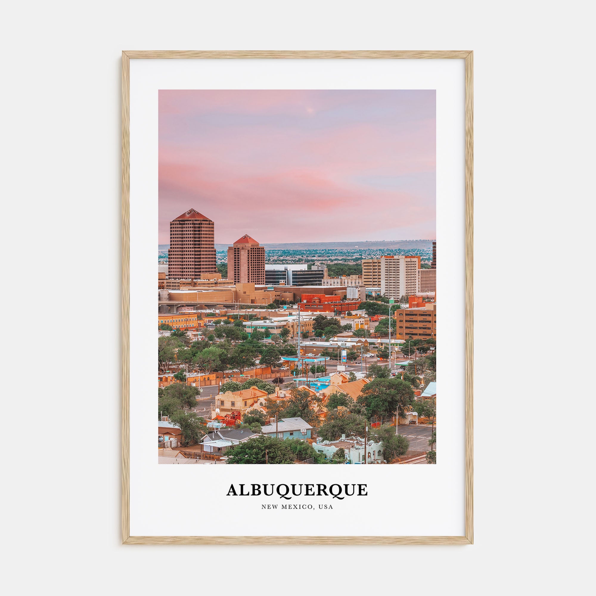 Albuquerque Portrait Color Poster