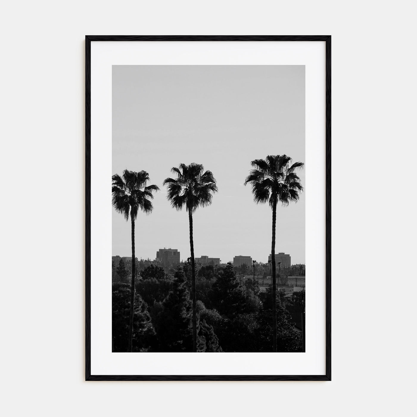 Anaheim Photo B&W Poster