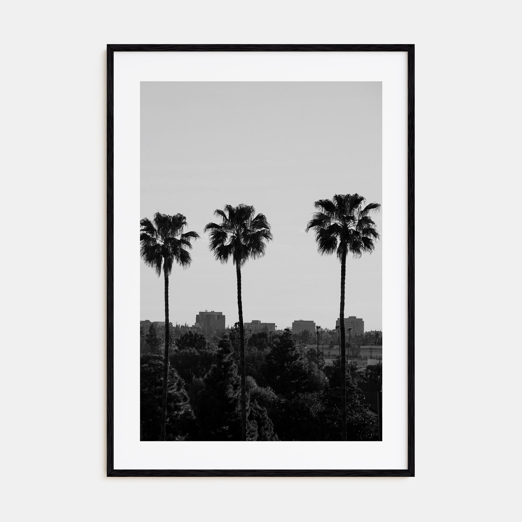 Anaheim Photo B&W Poster