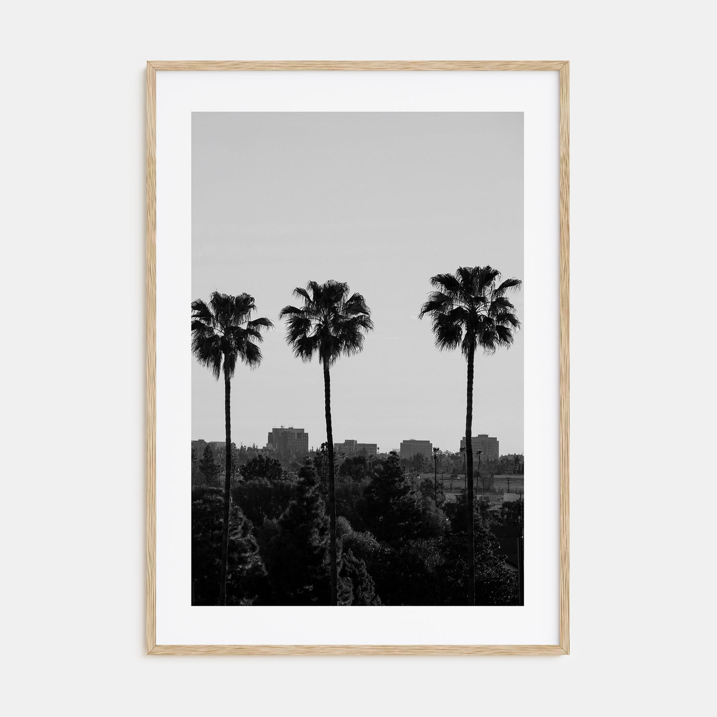 Anaheim Photo B&W Poster