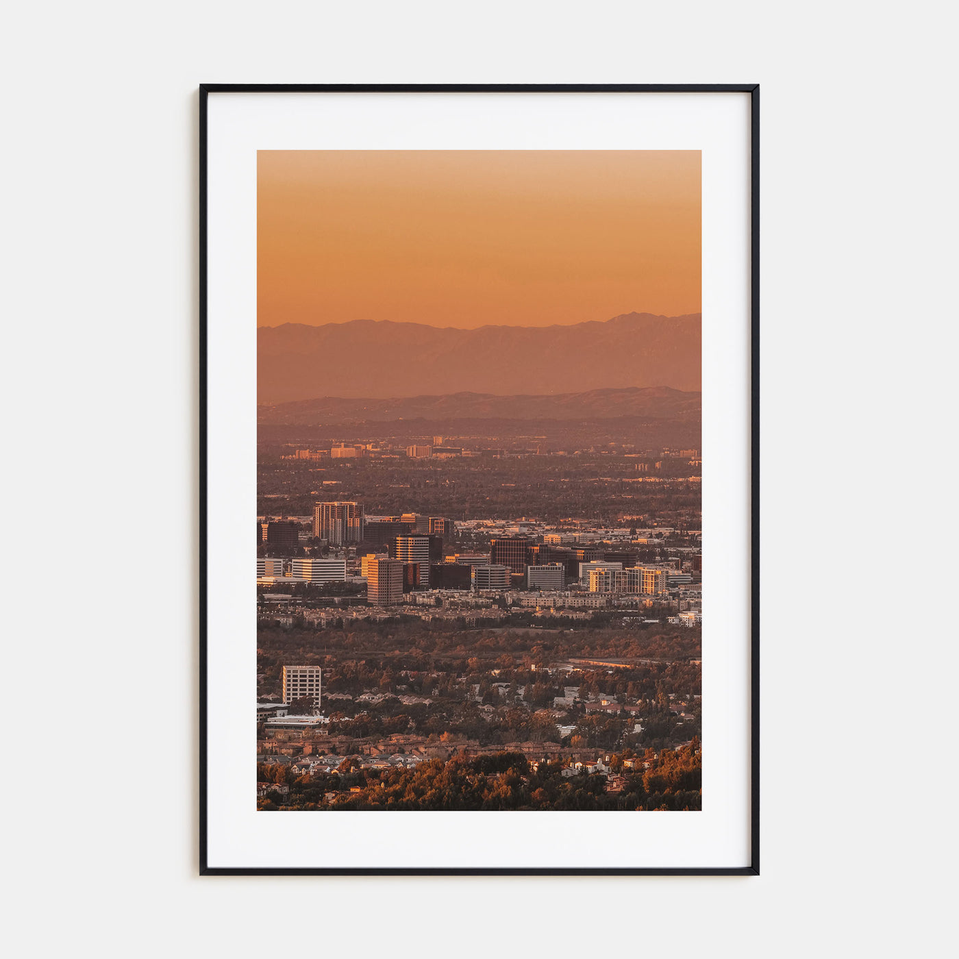Anaheim Photo Color Poster